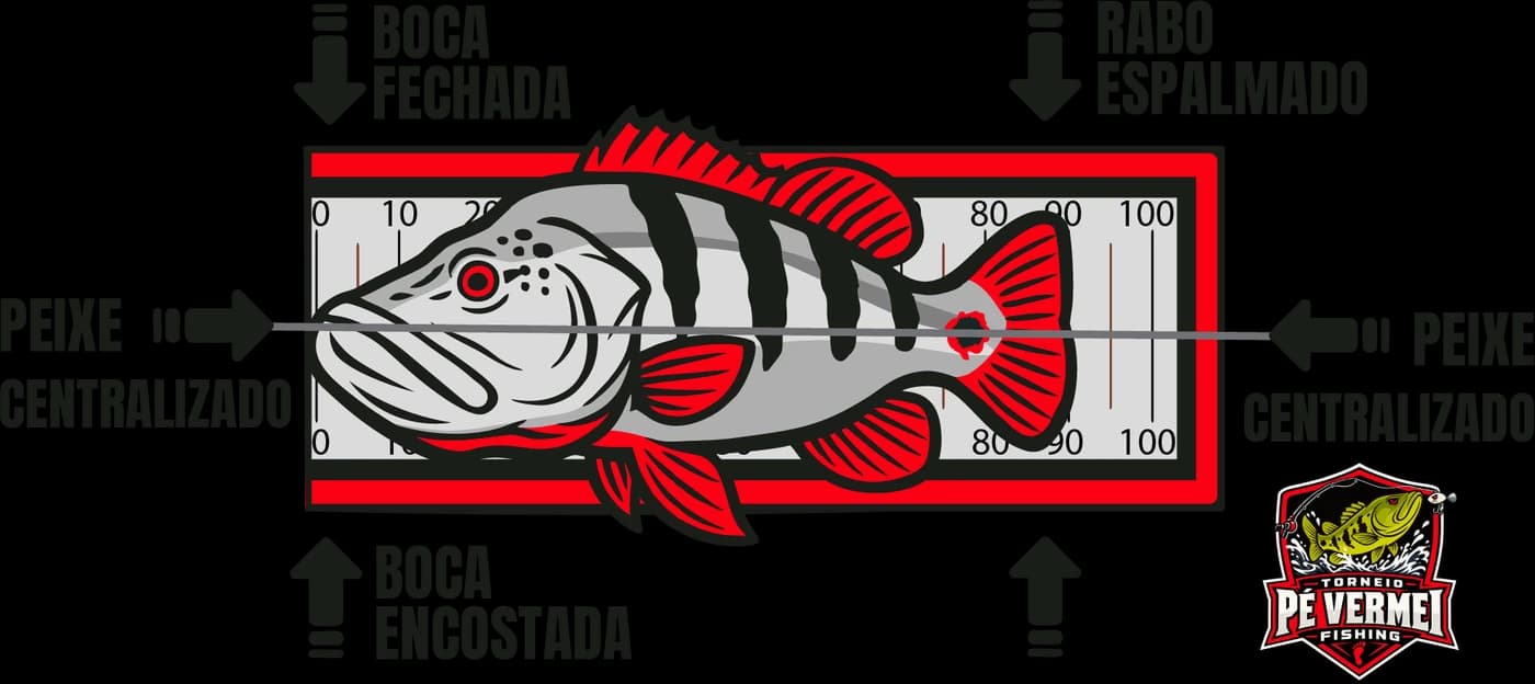Posição correta do peixe na régua: boca fechada e encostada, peixe centralizado e rabo espalmado
